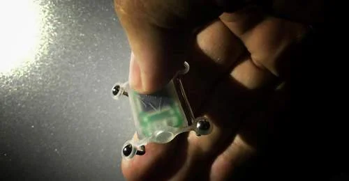 Bússola implantável para corpo humano: dispositivo translúcido minúsculo com circuito, 4 sensores esféricos, segurado por dedos.