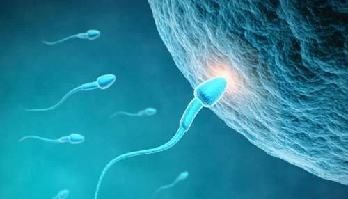 Espermatozoides azuis com cauda nadam em direção a um óvulo texturizado e brilhante, em um fundo aquático azul-esverdeado.