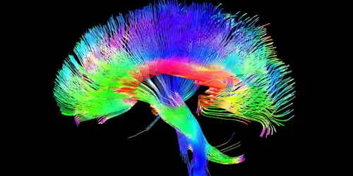 Cérebro: Imagem 3D vibrante de fibras neurais em fundo preto, ilustrando formas de melhorar o cérebro.