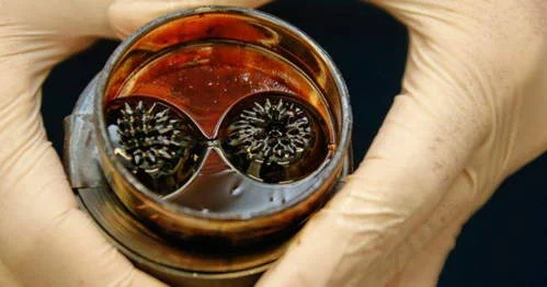 Lentes magnéticas de ferrofluido, com picos pontiagudos, em líquido marrom dentro de um cilindro. Mãos com luvas as seguram.